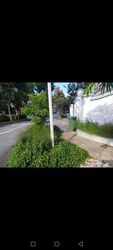 Bright Hill Drive (D20), Terrace #480808691